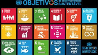 Você sabe o que é a Agenda 2030 [upl. by Lekar658]