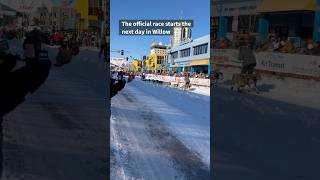 Iditarod Sled Dog Race Ceremonial Start in Anchorage [upl. by Niltac]