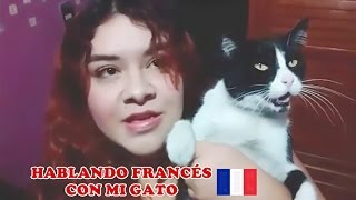 ¡Hablando francés con mi gato [upl. by Ameen]