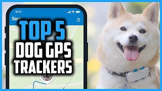 ✅ Top 5 Best Dog GPS Trackers of 2024 [upl. by Chiang]