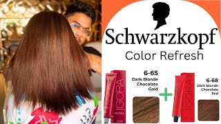 Level On Level Hair Color change 0 Lifting  Grey Coverage  Schwarzkopf Hair Color Salonfact [upl. by Aerdnua]