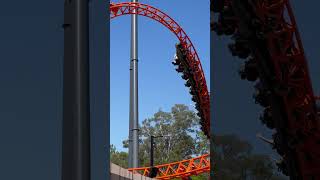 STEEL TAIPAN  DREAMWORLD AUSTRALIA rollercoaster [upl. by Odlonyer]