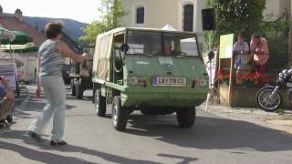 50 Jahre Haflinger Parade Schönberg Teil 2 [upl. by Carolin697]