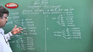 Penmai Thillaiyadi Valliammai  Payarsol  9th Std Tamil [upl. by Yaron884]