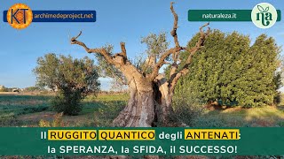 Il RUGGITO QUANTICO degli ANTENATI [upl. by Demmahom]