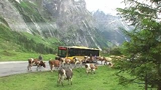 Crossing the Grosse Scheidegg pass [upl. by Gnuj]