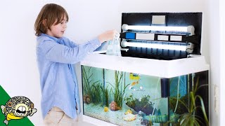 WATCH THIS before adding fish to your tank [upl. by Susanne564]