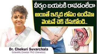 ఇక్కడ లోపం  Symptoms and Causes of Retrograde Ejaculation  Dr Chekuri Suvarchala  Ziva Fertility [upl. by Ttoille]