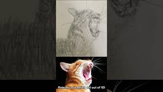 Rate my screaming cat out of ten cat drawing art sketch [upl. by Atsyrk]