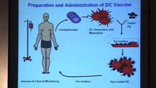 Using Dendritic Cells to Create Cancer Vaccines [upl. by Towers]