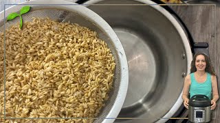 How to Cook Oat Groats in Instant Pot in 25 minutes So Easy [upl. by Lectra]