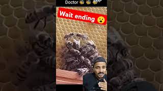 Doctor 🐝 bee save queen 👑 bee bee beelife shorts trending animals cutebee dailybee beevideo [upl. by Norrek]