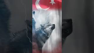 TURAN BİRLİĞİ GELİYOR AZ KALDI 🐺☝️🤲 turanbirliği türkaskeri azerbaycan kazakhstan [upl. by Brace974]