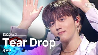 SF9에스에프나인  Tear Drop 인기가요 inkigayo 20210711 [upl. by Yttisahc]