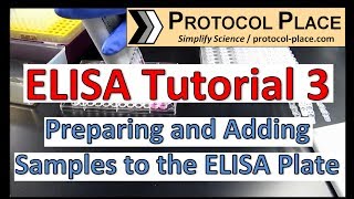 ELISA Tutorial 3 Preparing and Adding Samples to the ELISA Plate [upl. by Ginnie]