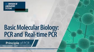 Basic Molecular Biology PCR and RealTime PCR – Principle of PCR [upl. by Coyle]