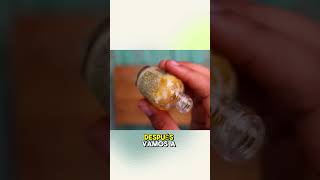 💅🌿 El Secreto de las Uñas Largas Tutorial Rápido de Barniz de Ajo Casero [upl. by Nassah808]