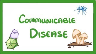 GCSE Biology  Communicable Disease 34 [upl. by Enorahs]