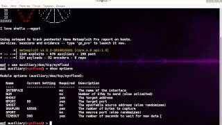 Ddos msfconsole Kali Linux [upl. by Revlys265]