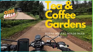 Surprised by Tea amp Coffee gardens  return from Agumbe Karnataka Agumbe  Bengaluru Ride [upl. by Pasol835]