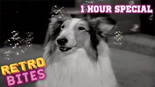 Lassie  1 Hour Special  Full Episodes 🐕 [upl. by Hgielrebmik216]