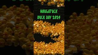 Naugatuck Duck Day 2024 [upl. by Adnole618]