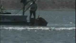 Speedboat Crashes During Race [upl. by Henry]