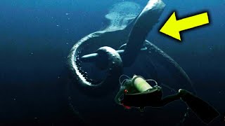 Divers Exploring A Siberian Lake Uncover A monster That Has Experts Baffled [upl. by Oakley]