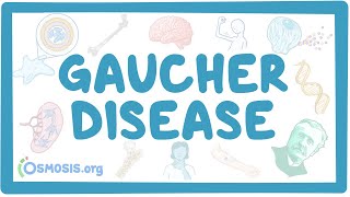 Gaucher disease  causes symptoms diagnosis treatment pathology [upl. by Hazmah56]