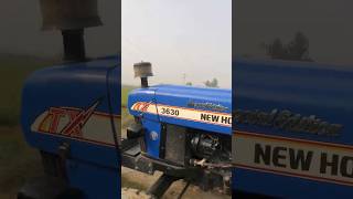 3630 new holland cow shorts trending farming agriculture babycorn tractor [upl. by Nitsu]