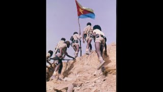 እዱድ ዘመተ፡ ምዕራፍ 26 ን 27 ናይ መወዳእታ ክፋል ናይ መጽሓፍ ንባብ ናብ ሊንጎ ኢመይል ንምልኣኽ፡ algena23yahoocom [upl. by Goulet]