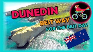 DUNEDIN New Zealand Travel Guide Free SelfGuided Tours Highlights Attractions Events [upl. by Ranique560]