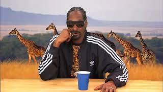 BEST OF Snoop Dogg  Planet Earth [upl. by Malliw]