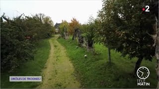 Les trognes  reportage Telematin France 2 du 10012020 [upl. by Ennairej128]