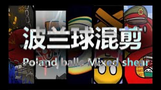 「Over 200 shots show you the charm of countryballs」 [upl. by Steven]