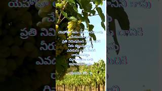 దివారాత్రము కాపాడుతాడు  GodsWordToday youtubeshorts HourofGrace Grace Bhaskar [upl. by Sobel]