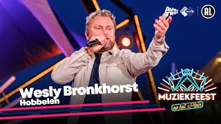 Wesly Bronkhorst  Hobbelen LIVE • Muziekfeest op het Plein 2024  Sterren NL [upl. by Animor]