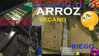 Todas las fases del Arroz FS25 [upl. by Derfiniw51]