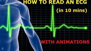 HOW TO READ AN ECG WITH ANIMATIONSin 10 mins [upl. by Rici]