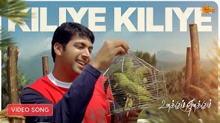 Kiliye Kiliye  Video Song  Something Something  Unakkum Enakkum  Devi Sri Prasad  Sun Music [upl. by Airetahs301]