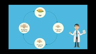 Microbial Pathogens School Project [upl. by Enreval649]