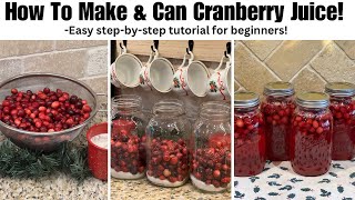 How To Make Cranberry Juice  Step by step tutorial  Only 3 ingredients [upl. by Costin]