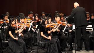 Drifen Atwell  Troy Freshman Orchestra MSBOA District Festival 3152014 [upl. by Mosira]