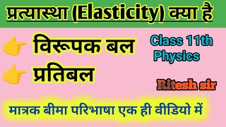 Pratyastha class 11 physics  Elasticity  Ritesh sir [upl. by Artied]