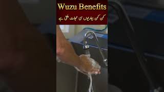 Benefits of Wuzu  Scientifically Proven Reality  Miracles of Islam by Ilm ul Israr [upl. by Sirod]