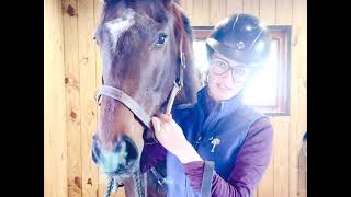 Training Your OTTB The First Ride [upl. by Busey453]