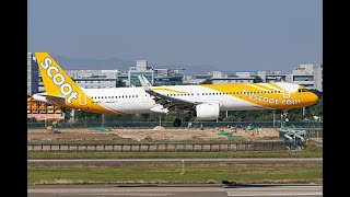 Scoot TGW677  Chiang Mai  Singapore  Toliss A321 Neo  XPlane 12  Vatsim [upl. by Woodman]