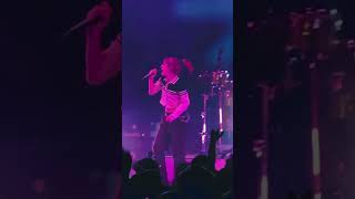 RoseColored Boy  Paramore afterlaughter [upl. by Romeu990]