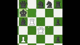 This rooky going crazy chess checkmate [upl. by Esorlatsyrc]