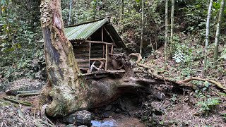 build a tree shelter by the water Trunganh [upl. by Eizdnil155]